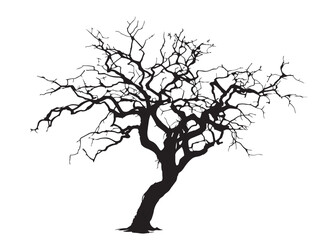 The Tangled Web Tree in Intricate 2D Vector Line Art Style  