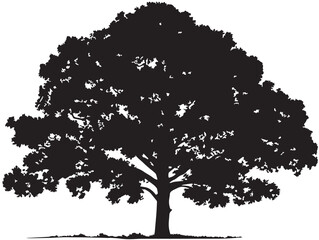 Strong and Towering Tallwood Tree in Minimal 2D Vector Line Art  