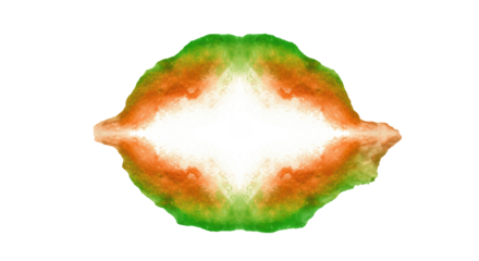 Vibrant green and luminous orange fluid streaks, shimmering cosmic dust, glowing particles, elegant shapes against a transparent background with copy space, concept of dynamic cosmic elegance