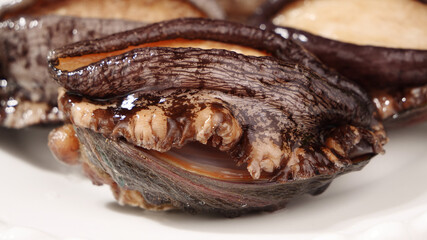 Fresh Raw Abalone Shellfish Closeup - Premium Seafood Mollusk for Gourmet Cuisine