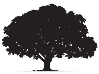 The Timeless Giant Tree Silhouette in Elegant 2D Vector Line Art  