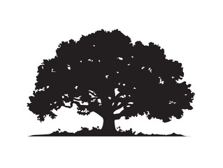 Inspiring Timeless Giant Tree 2D Vector Line Art Design  