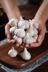Fresh White Garlic Bulbs in Hands - Shandong Organic Cooking Ingredients on Wooden Board