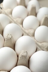 Many raw chicken eggs in egg carton, closeup