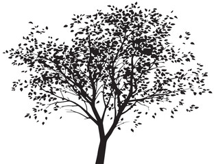 Enchanted Veil of Leaves Tree Silhouette 2D Vector Line Art  