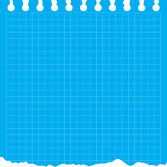 Blueprint Paper with Torn Edge Background
