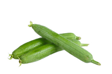 Fresh Long Loofah Vegetables from Shandong Shouguang China on White Background