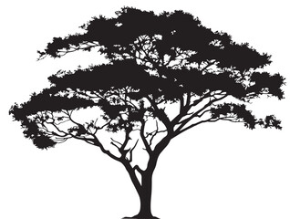 Obraz premium The Umbrage Tree Silhouette in Detailed 2D Vector Line Art Design 