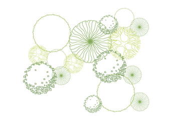 architecture drawing plant tree top view plan greenery vegetation vector. design nature architectural landscape set element illustration bush garden flora sapling minimal. architect isolated.