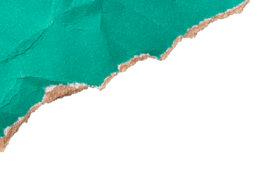 Green torn cardboard isolated on a transparent background