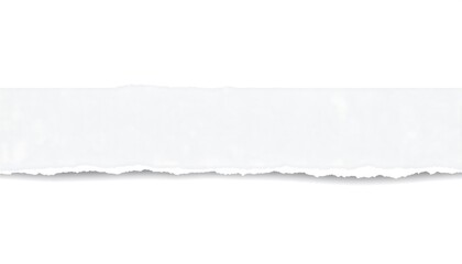 Blank White Torn Paper Background.