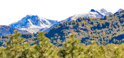 Snowy mountains and forest isolated landscape