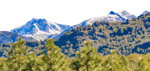 Snowy mountains and forest isolated landscape