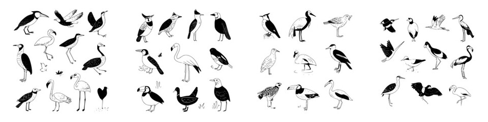 Diverse collection of detailed bird species rendered in black and white sketch style