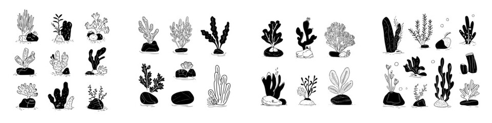 Collection of hand drawn black and white sea plants and corals on rocks