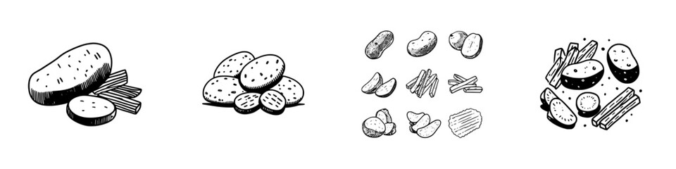 Hand drawn assortment of potatoes and various potato food products