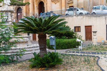 Naklejka premium Tropical cycad palm near historic stone building. High quality photo