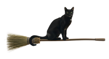 A black cat sitting on a broomstick against a white background.