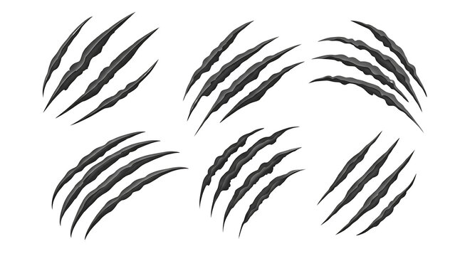 Aggressive Black Claw Marks and Rips Set with Sharp Edges Isolated on Transparent Background for Horror Graphics