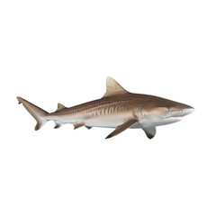 Naklejka premium tiger shark isolated on transparent background