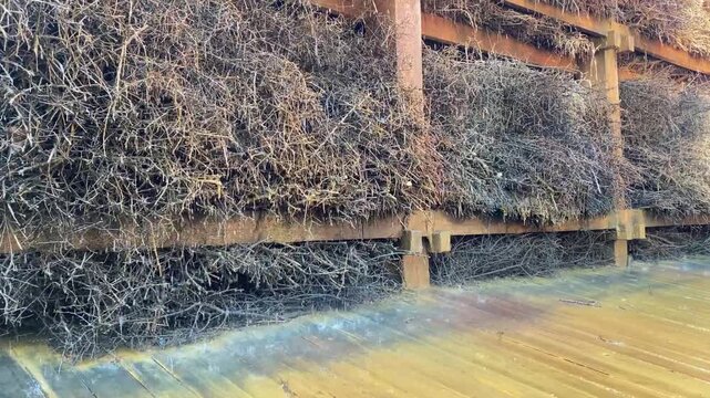 Wooden twig structure of a brine graduation tower. The branches are stacked tightly together creating a porous surface where brine trickles down to produce mineral-rich air