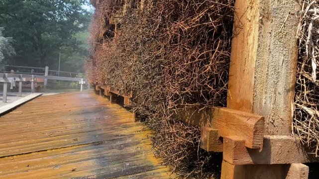 A close-up view of the wooden twig structure of a brine graduation tower. The branches are stacked tightly together creating a porous surface where brine trickles down to produce mineral-rich air