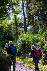 Elderly couple hiking up a mountain