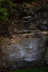 Stone wall with moss