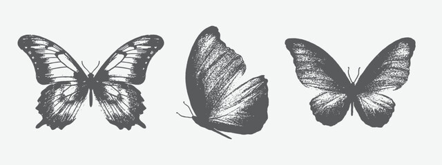 Butterfly for grunge punk Y2K collage design with halftone stipple effect. Vector illustration in stipple halftone brutalist retro design © Lutfar
