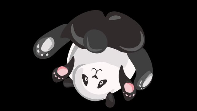 Motion video with a panda and emotions. Animation with an animal in vector graphics.