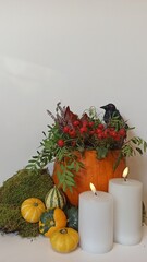 Halloween pumpkin among greenery and holiday attributes