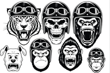 Illustrations of an angry tiger skull gorilla and dog wearing helmets