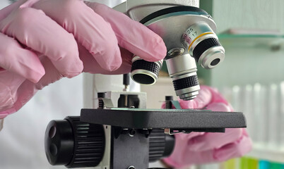 Scientist examines samples with microscope in laboratory