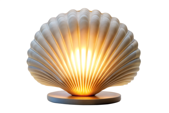 Illuminated scallop shell lamp casting warm light on a wooden base isolated on transparent background