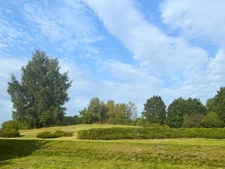 Fototapeta premium Landscape with trees and bright blue sky in a park