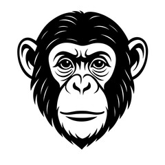 Fototapeta premium Black and white illustration of a chimpanzee face 