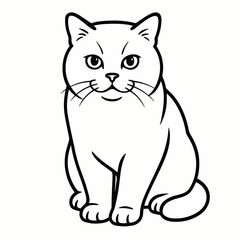 Obraz premium British Shorthair cat illustration in a realistic style, black and white lines
