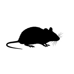Silhouette of a small mouse standing isolated on a white surface creating a simple clean rodent graphic. vector on white background