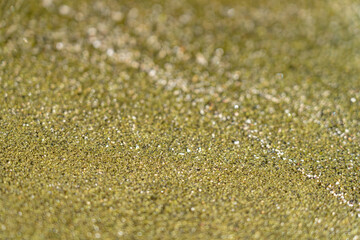 Olivine Crystals in Lava Rock. This is the source of the green sand found on the green sand beach.  located near South Point, in the Kaʻū district of the island of Hawaiʻi.  near Papakōlea Beach 