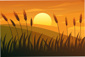 Sunset over the field with tall grass view on transparent background