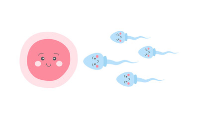 Cartoon characters egg cell and sperm. Vector illustration for education, science, reproduction, biology, fertilization concept.
