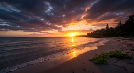 Obraz premium Breathtaking Coastal Sunset Landscape Serene Beach Plants Twilight Ocean Waves