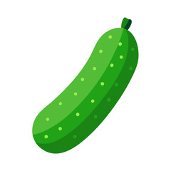 Illustration of a fresh green cucumber fruit on transparent background