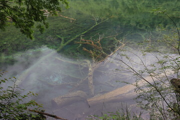 water sprinkler spraying water