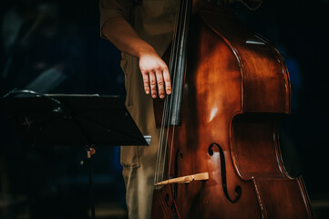 musician playing violin