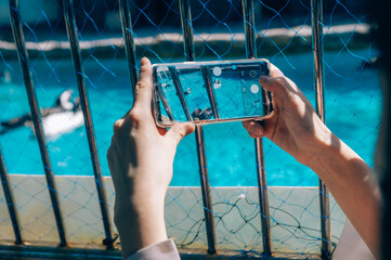 man swimming in pool