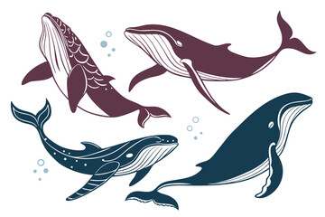 set of Whale swimming silhouette illustration isolated on white background