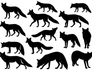 Obraz premium A black silhouette collection of various foxes in different poses, perfect for illustration or design projects