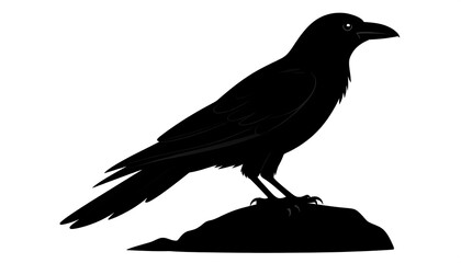 Obraz premium A black silhouette of a bird, likely a raven, perched upon a dark rock, against a pristine white backdrop. Details include beak and claw