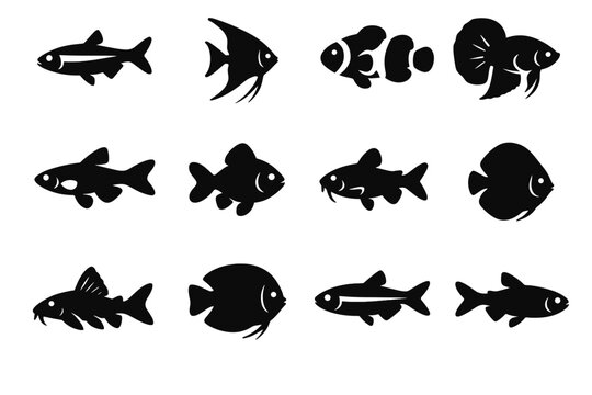 Aquarium fish vector guppy clownfish pleco tetra danio discus icon goldfish corydoras